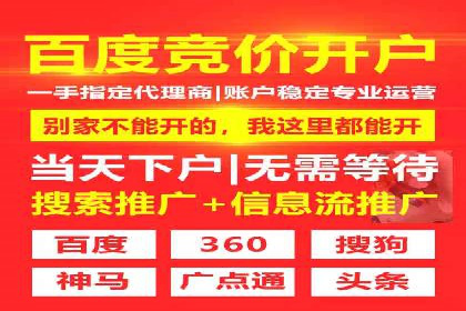 搜索引擎营销（SEM）的运营技巧与实际案例
